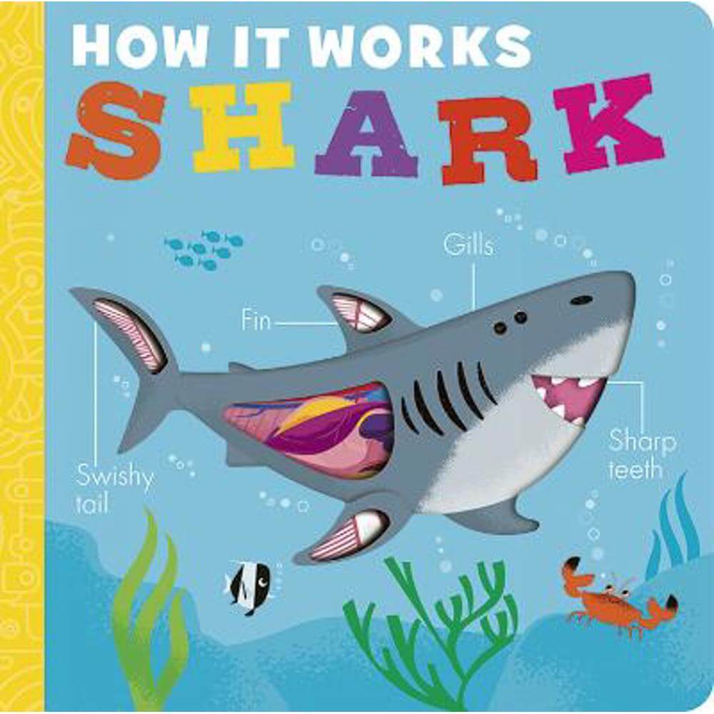 How it Works: Shark - Molly Littleboy